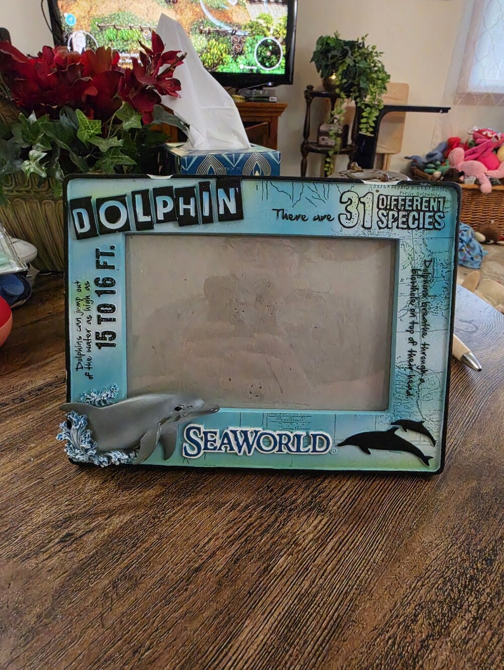 Seaworld Picture Frame